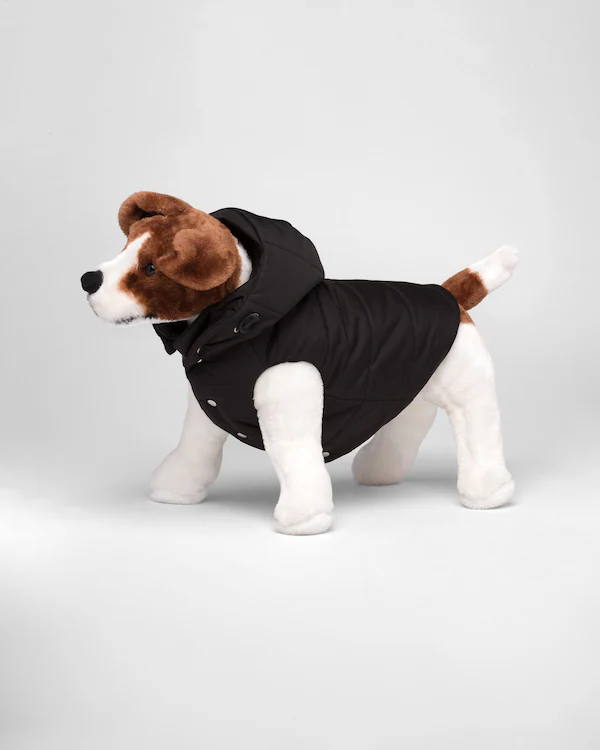 Re-Nylon jacka till hund med huvudbonad